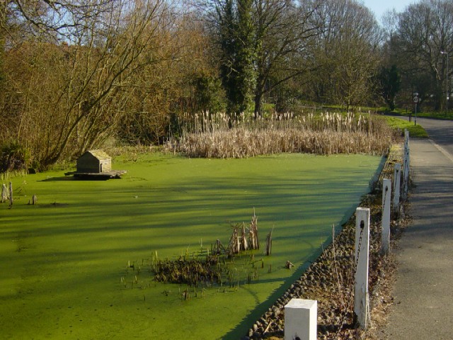 image of chain pond